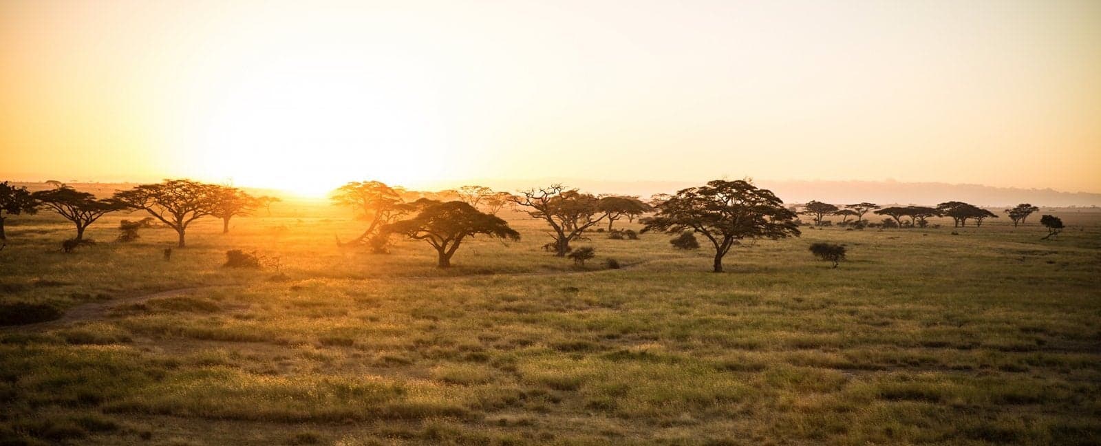 Arusha - Kilimanjaro - US