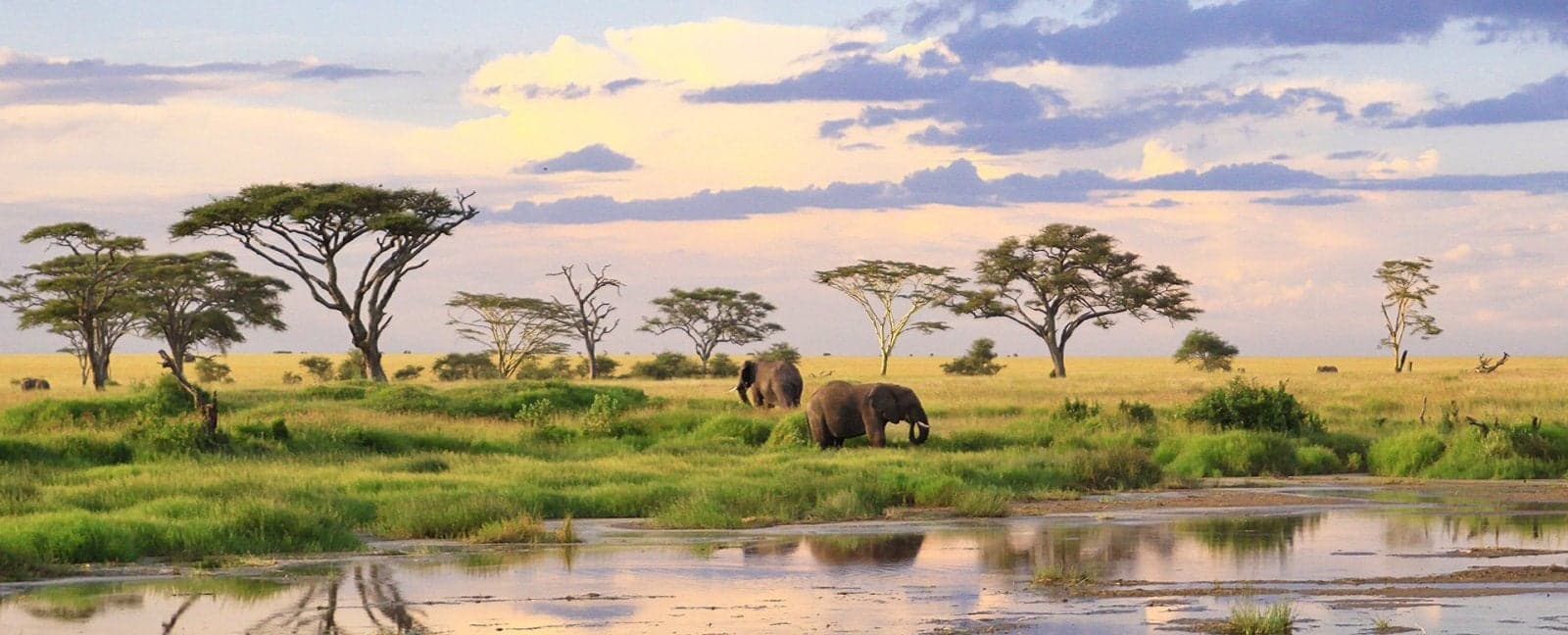 Amboseli National Park - Namanga - Arusha - Karatu