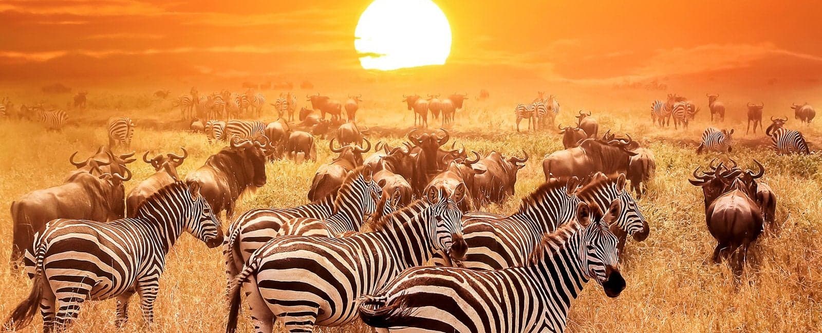 Serengeti National Park