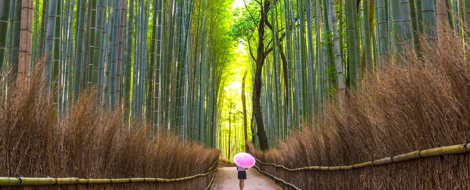 Kyoto