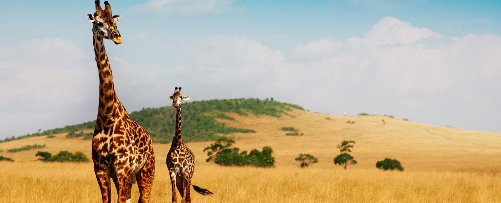 Maasai Mara National Reserve