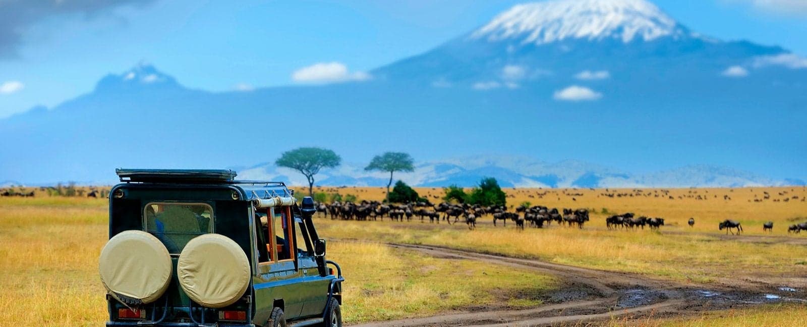 Lake Naivasha - Nairobi - Amboseli National Park