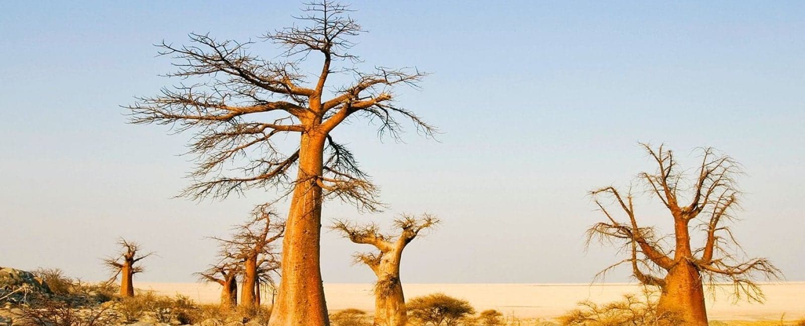 Chobe National Park