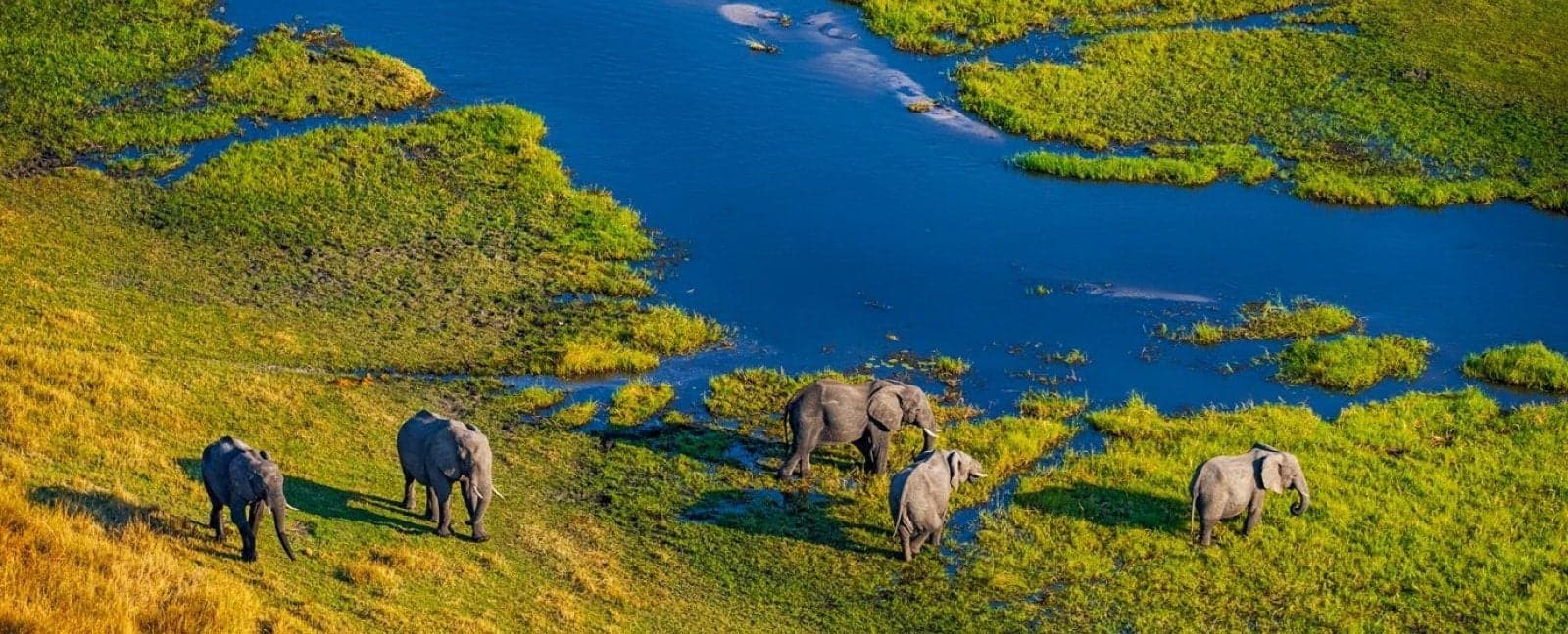 Chobe National Park - Victoria Falls - Johannesburg