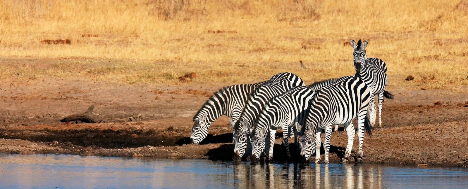 Kruger National Park