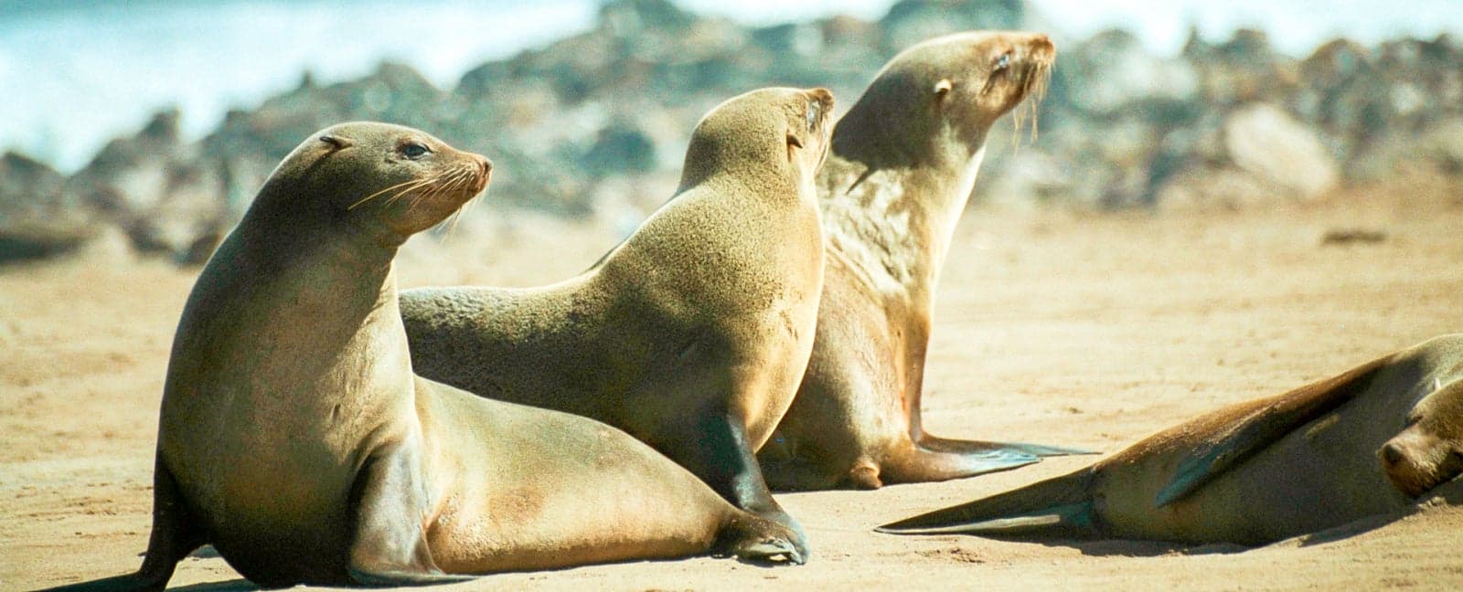 Swakopmund