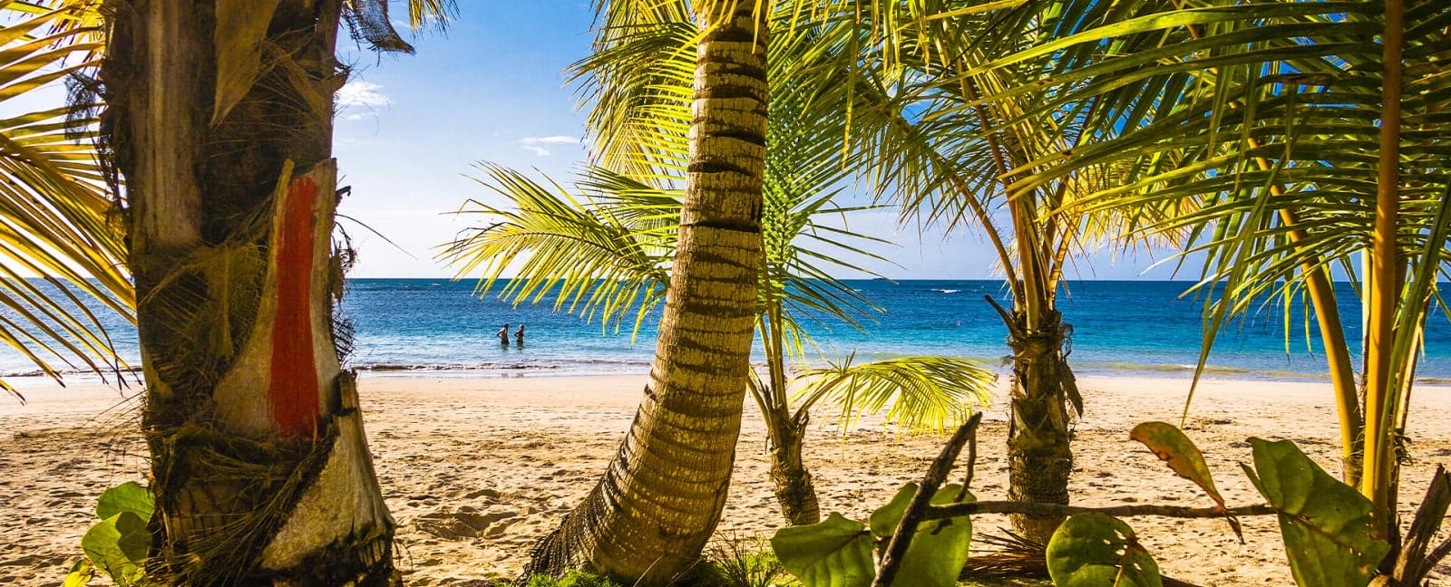 Cabarete - Las Terrenas