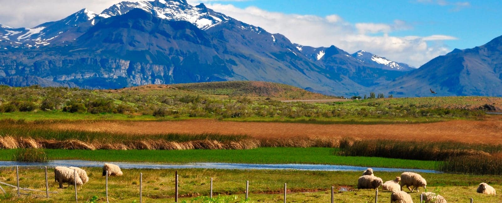El Calafate