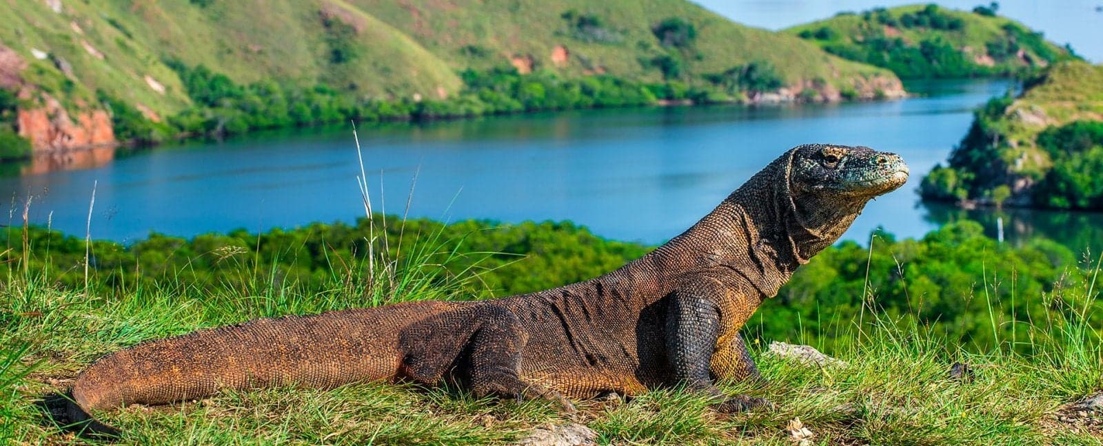 Labuan Bajo
