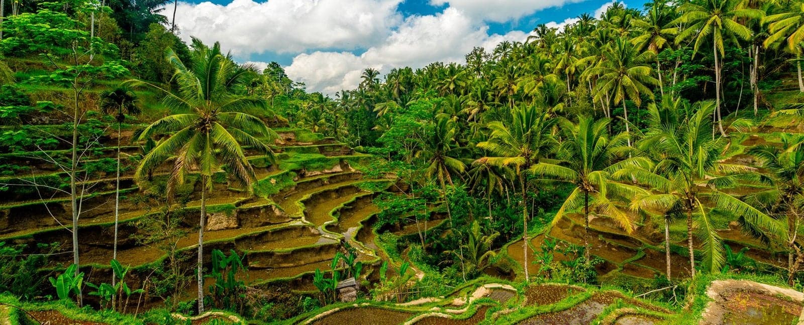 Ubud