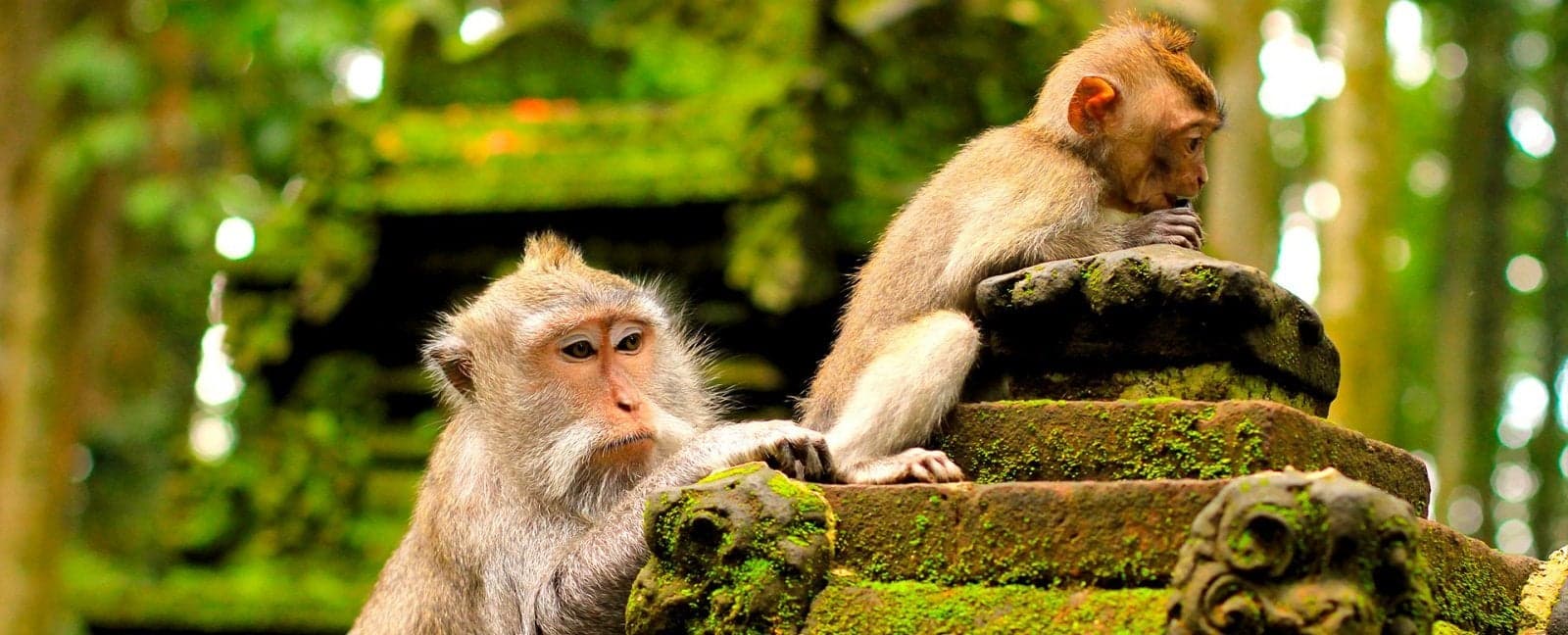 Ubud