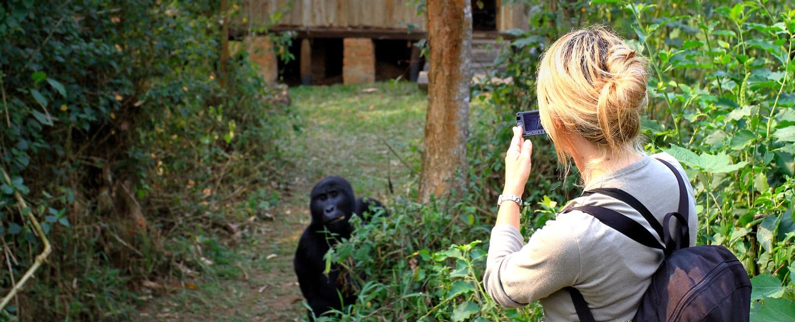 Parque Nacional del Bosque Impenetrable de Bwindi