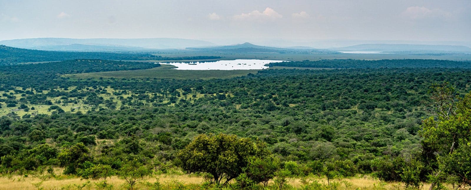 Parque Nacional del Bosque Impenetrable de Bwindi - Parque Nacional del Lago Mburo