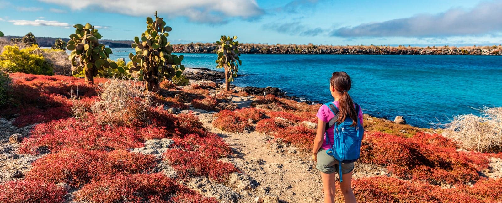 Santa Cruz