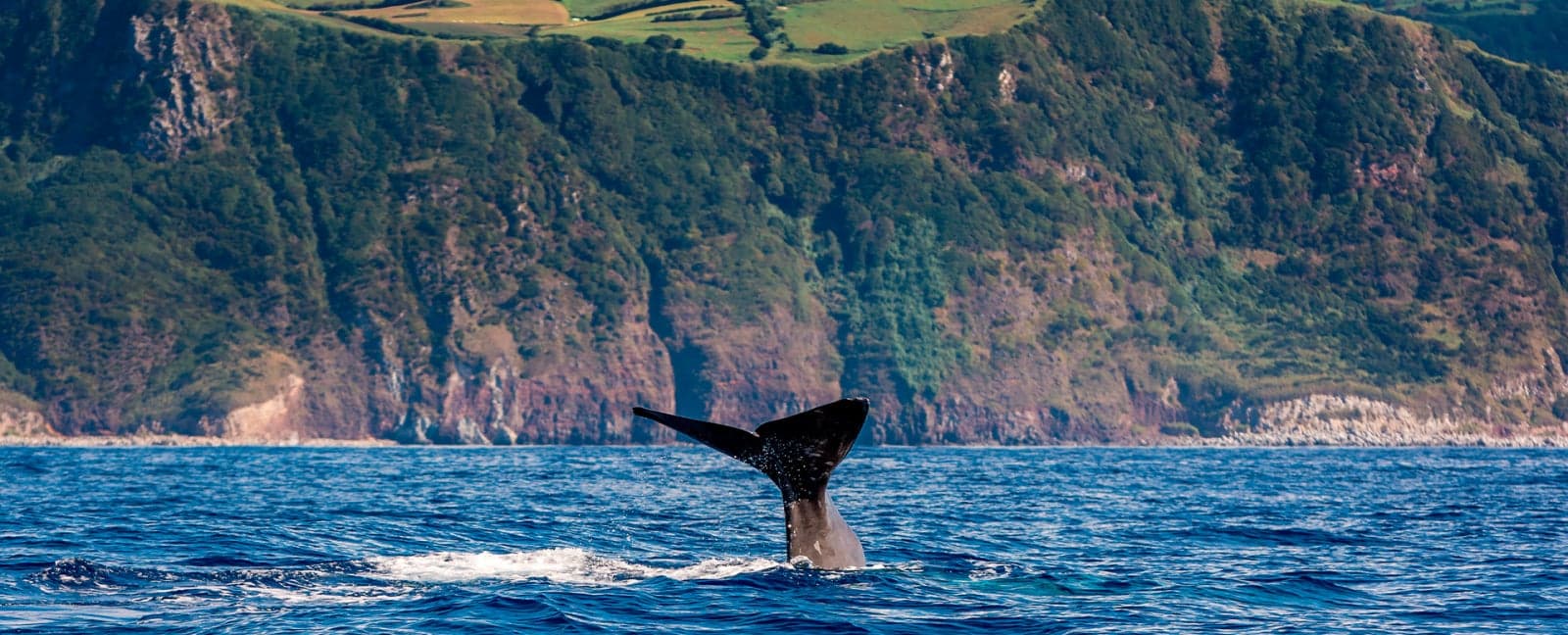 Sao Miguel Island, Azores