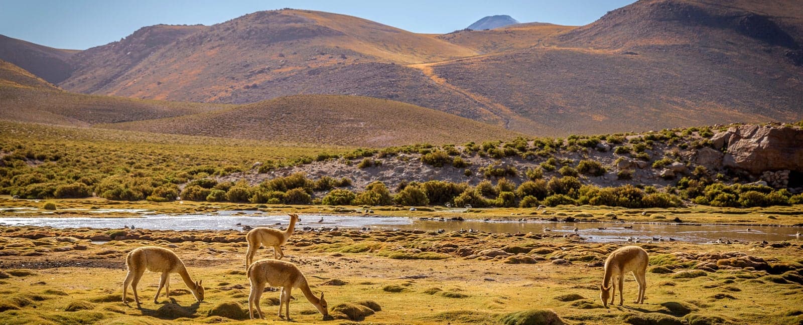 San Pedro de Atacama