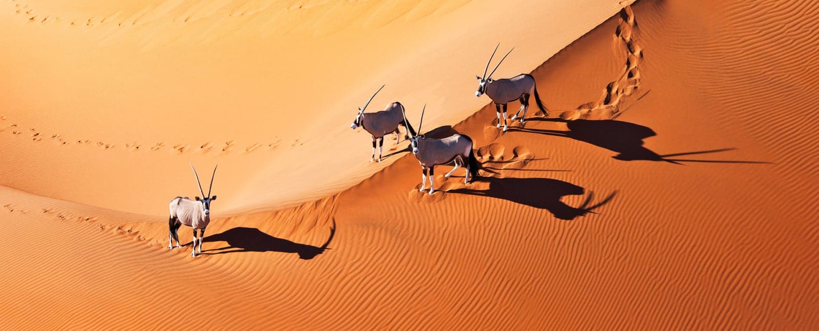 Kalahari Desert - Sossusvlei