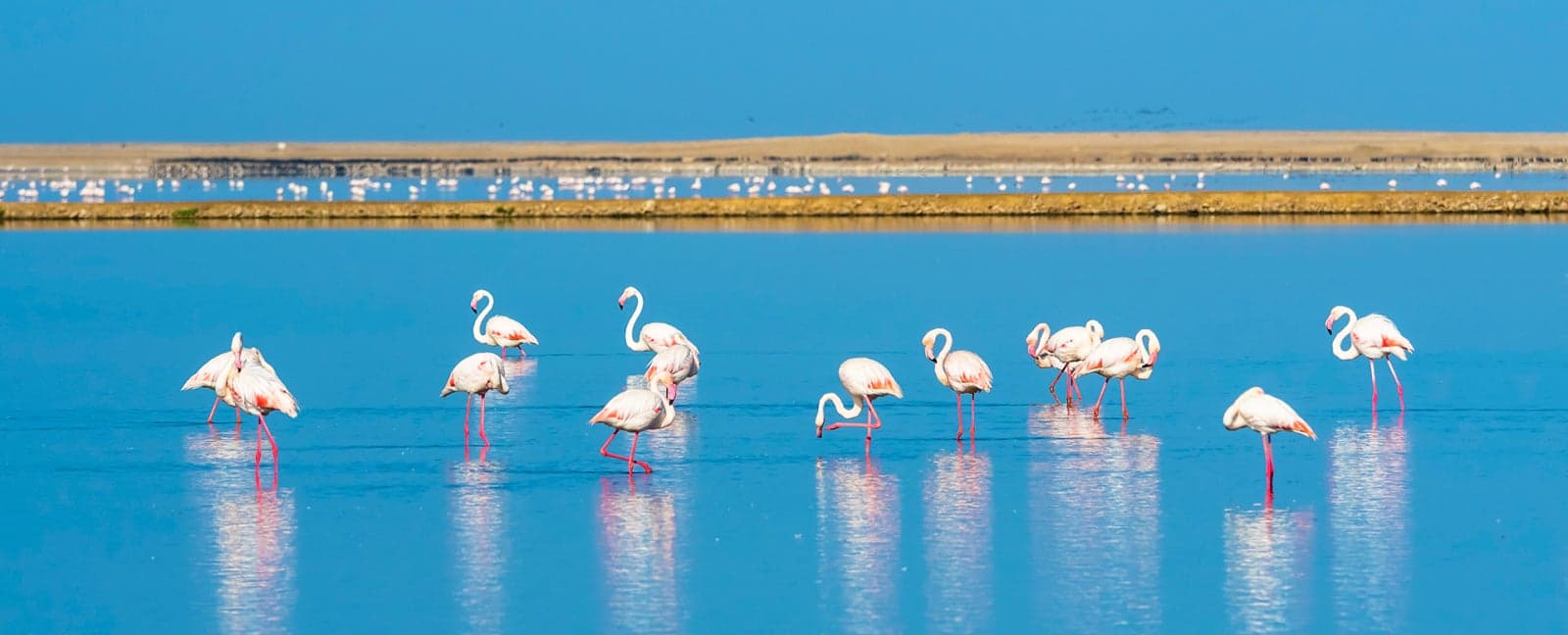 Soussusvlei - Walvis Bay - Swakopmund