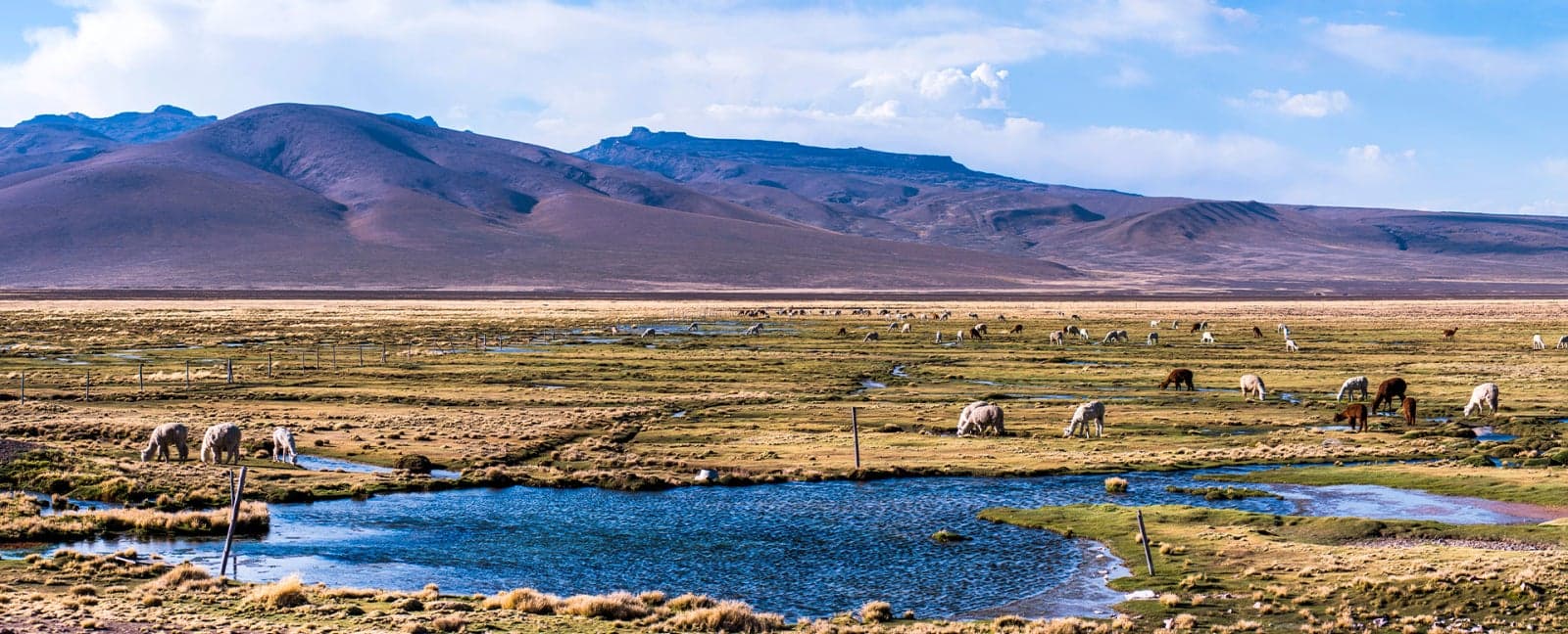 Arequipa - Colca Valley