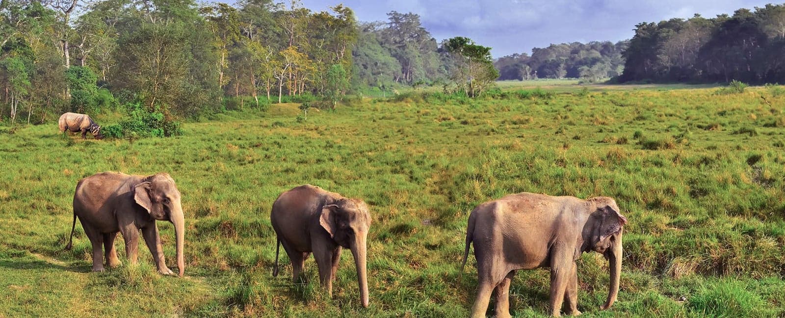 Kathmandu - Chitwan