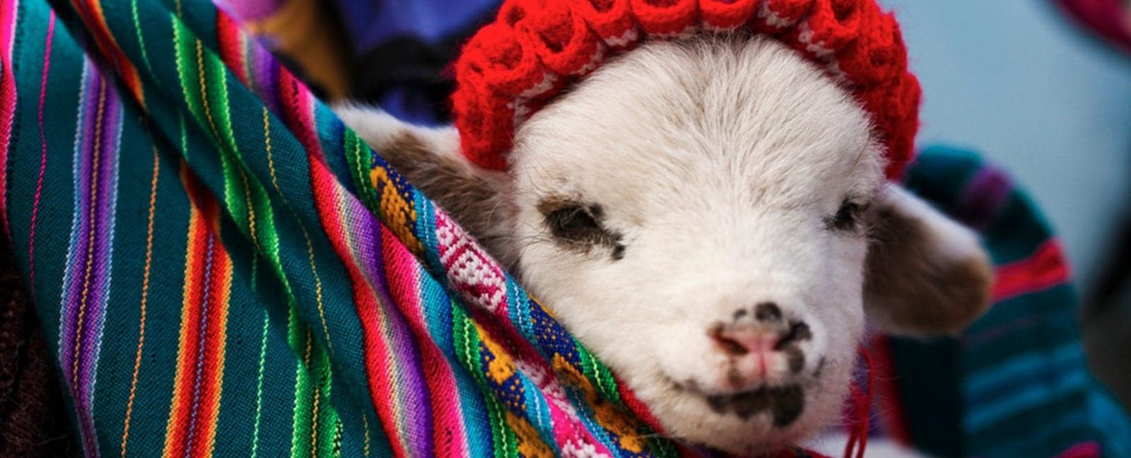 Lima - México