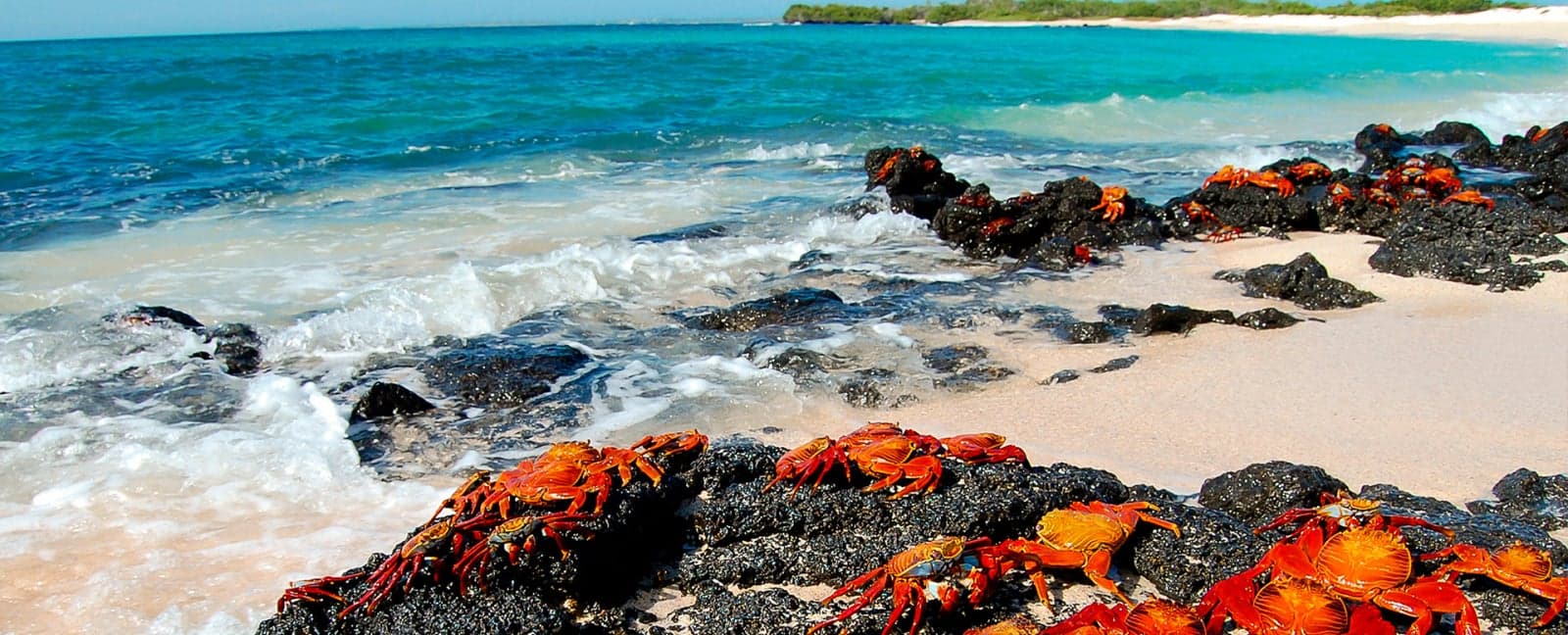 San Cristóbal, Islas Galápagos