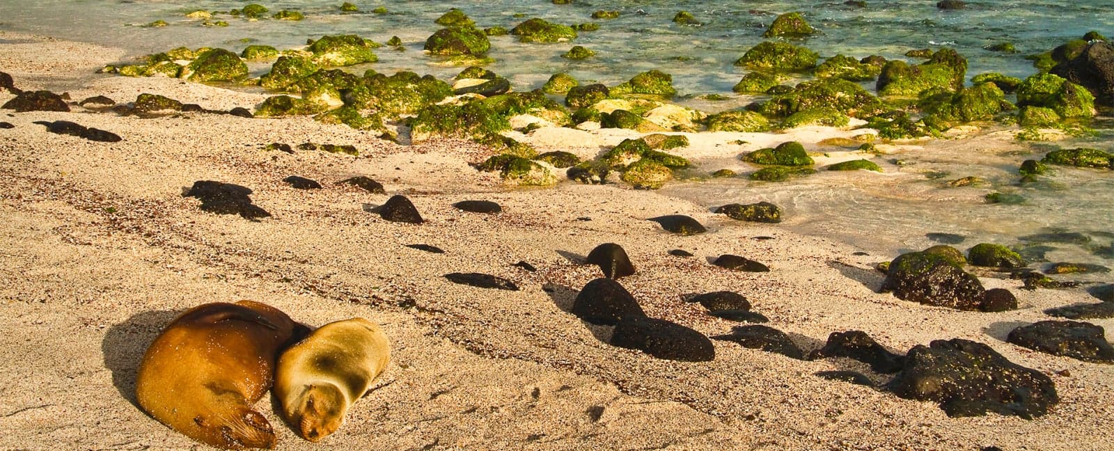 San Cristóbal, Islas Galápagos