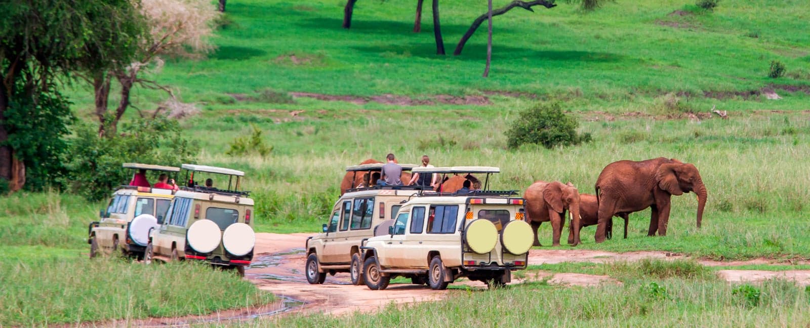 Arusha - Tarangire National Park
