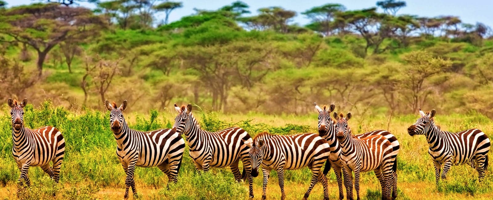 Serengeti National Park