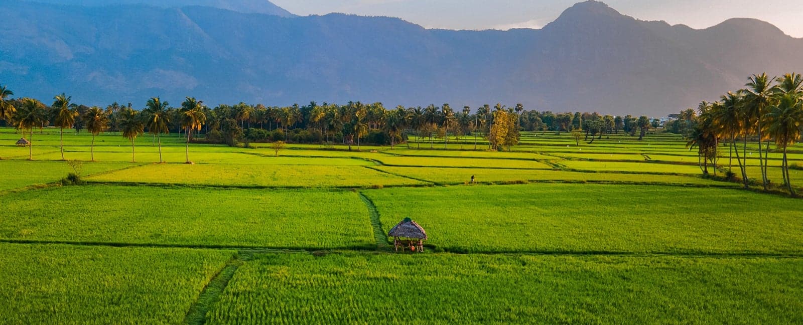 Kochi - Periyar