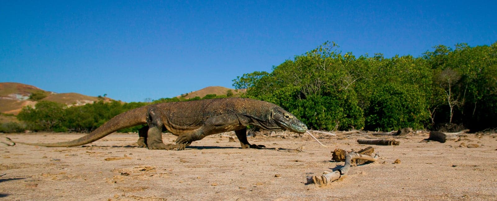 Labuan Bajo