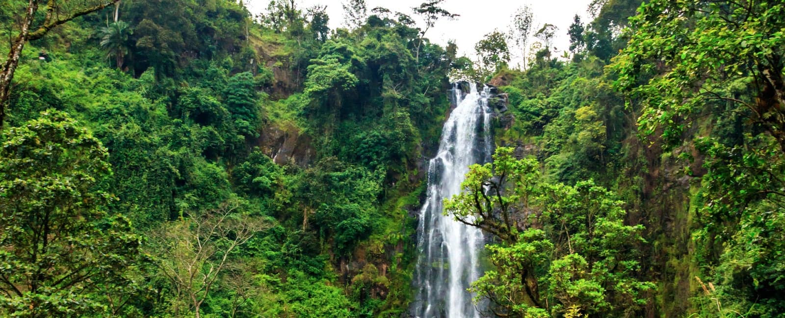Arusha - Materuni Waterfalls - Arusha