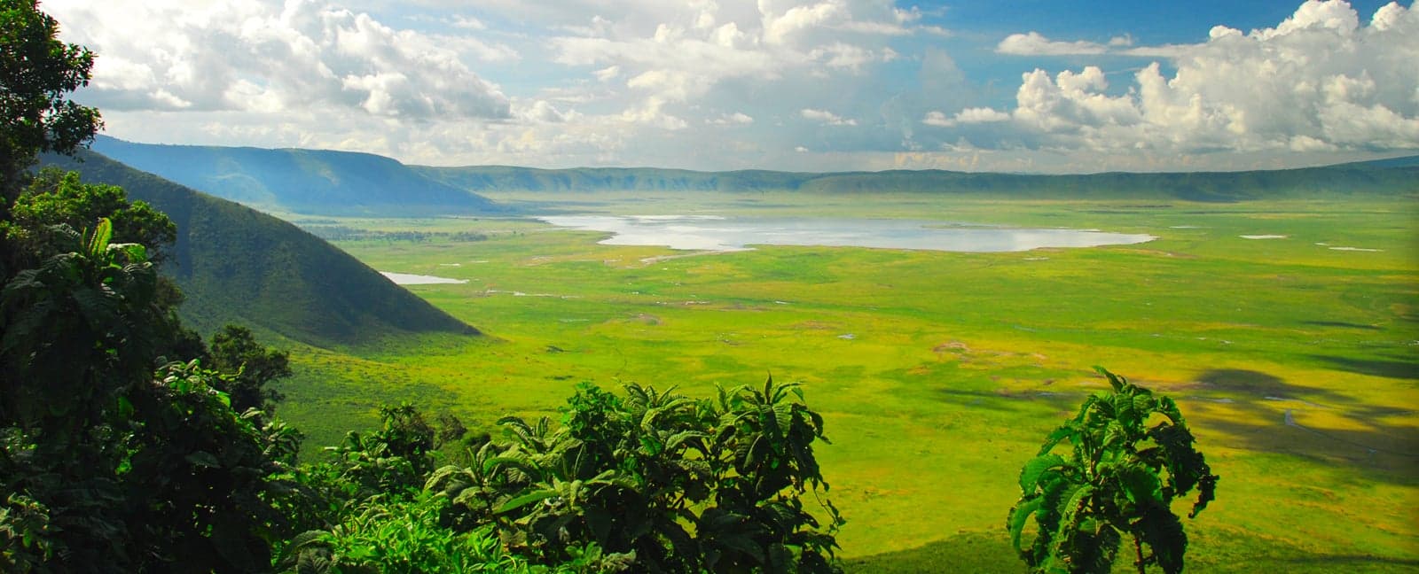 Arusha - Serengeti National Park