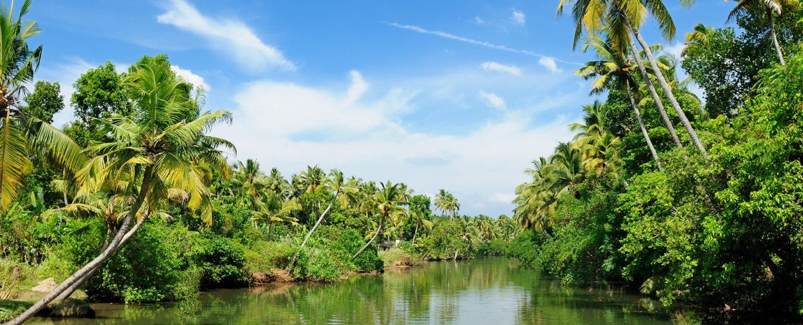 Periyar - Alleppey - Kumarakom
