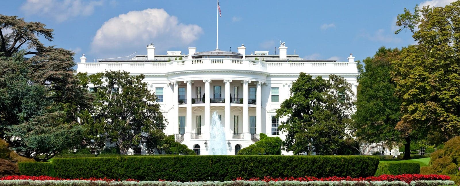 Washington D.C.