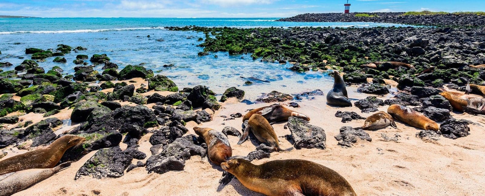 San Cristobal, Galapagos Islands