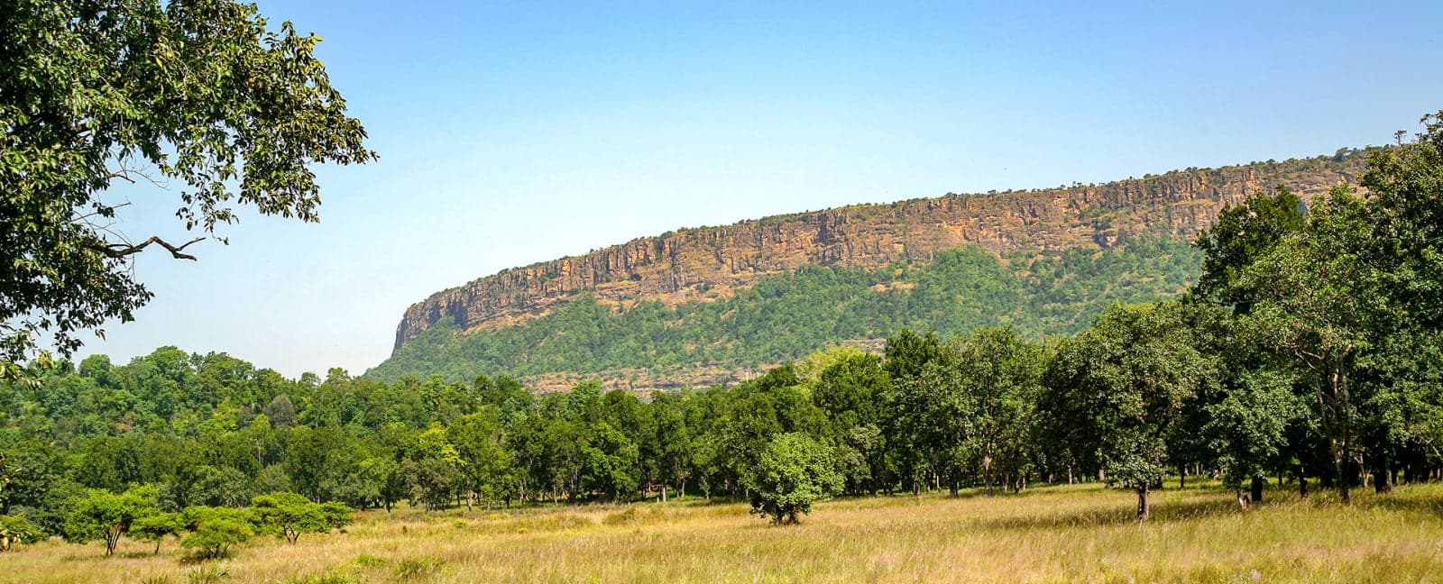Delhi - Jabalpur by flight - Bandhavgarh