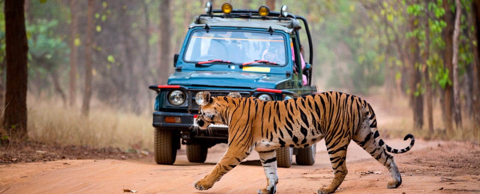 Bandhavgarh