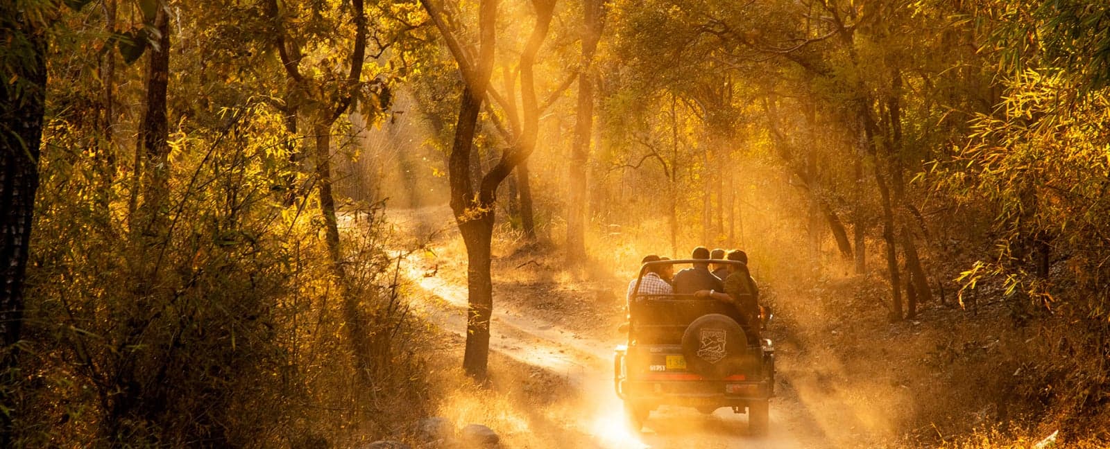 Bandhavgarh - Kanha