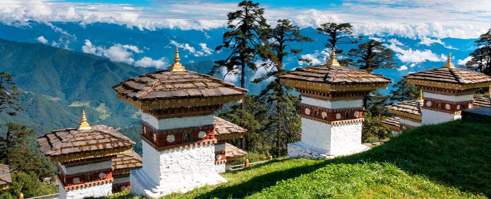 Timbu - Paso de Dochula - Punakha