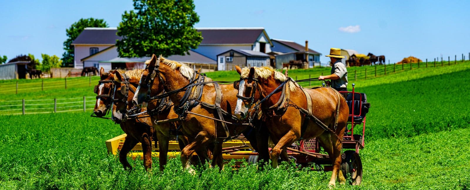 Pennsylvania Dutch Country - Washington D.C.