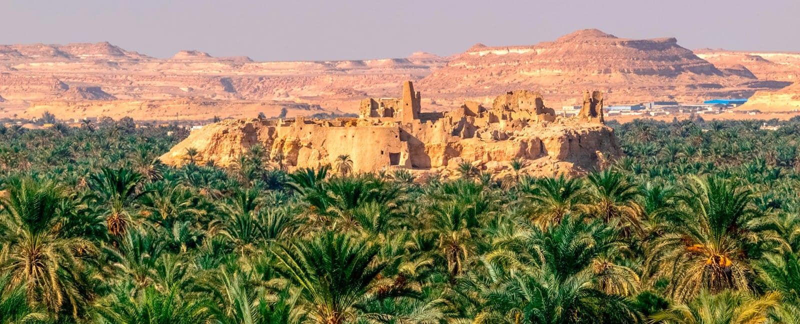 Siwa - El Cairo