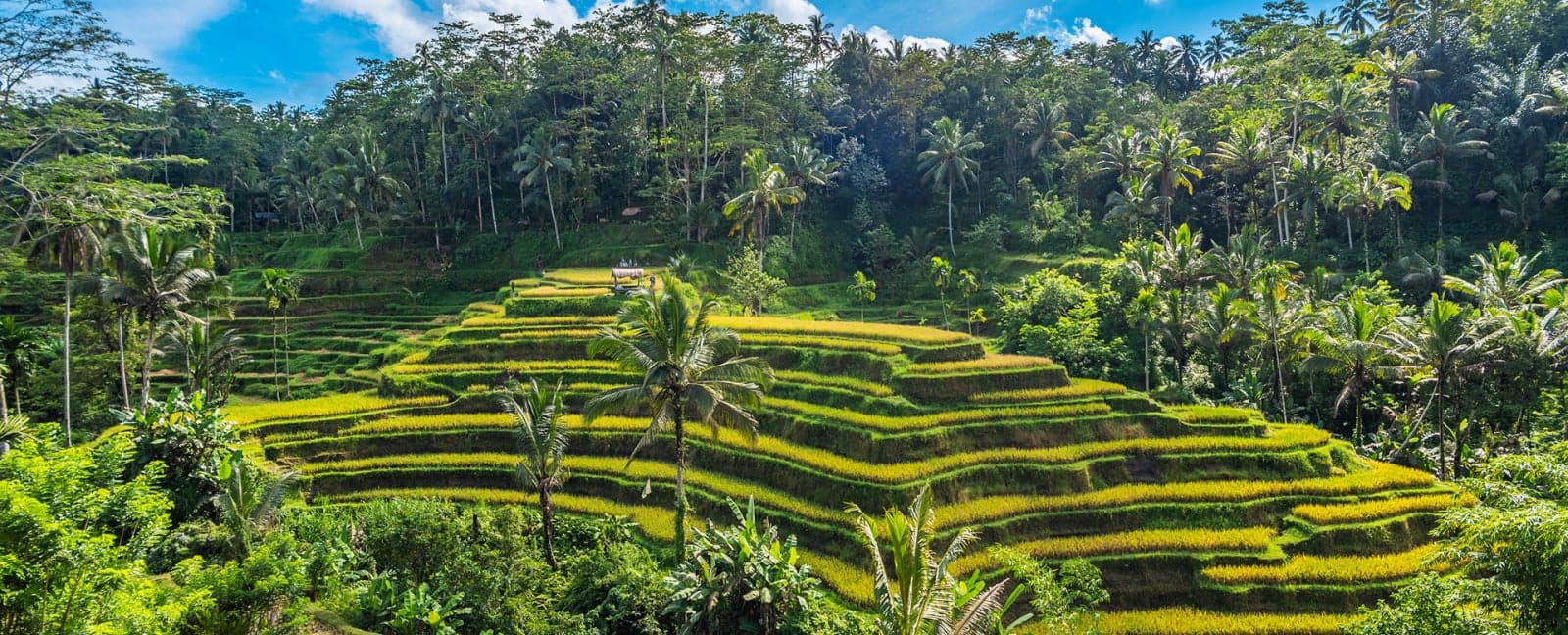 Ubud