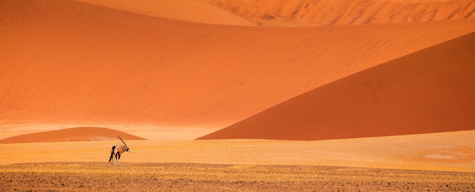 Swakopmund - Naukluft Mountains