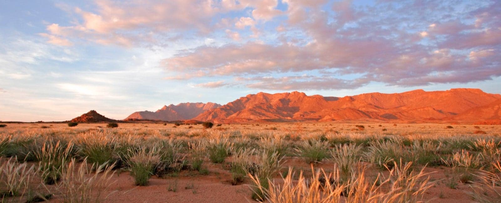 Cape Town - Windhoek - Otjiwarongo