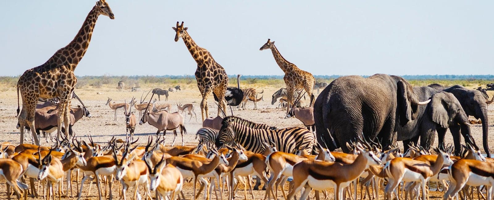 Etosha National Park