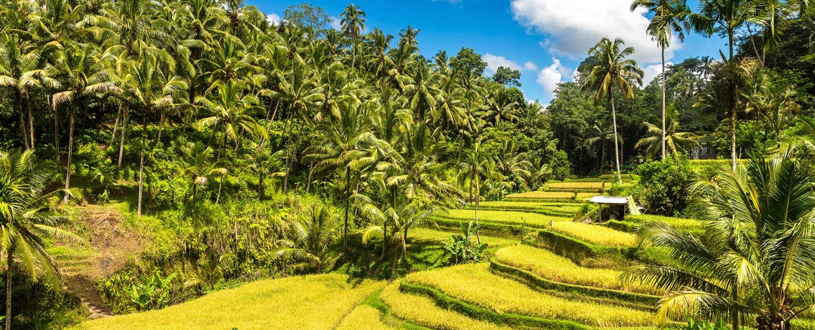 Ubud
