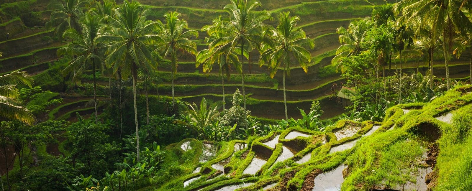 Ubud