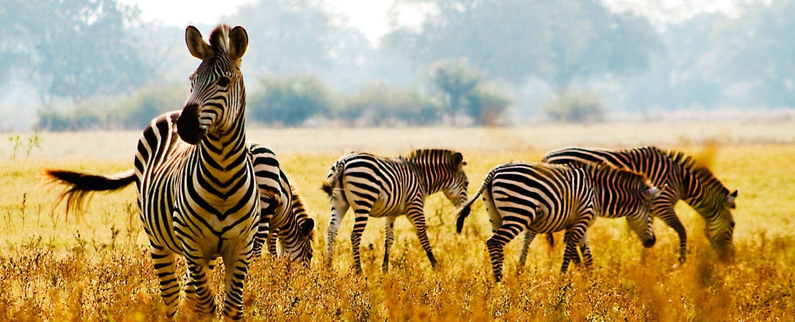 Kruger National Park