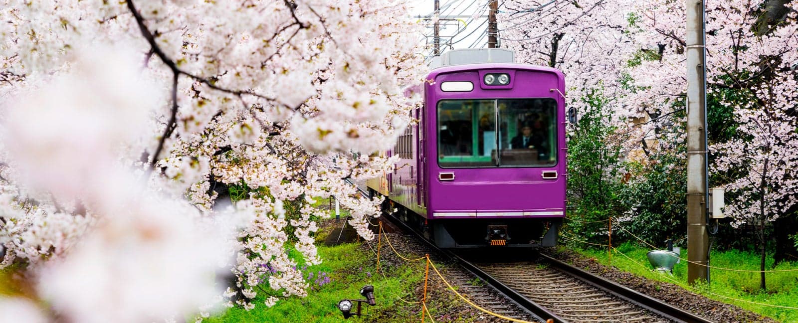 Osaka - Kioto